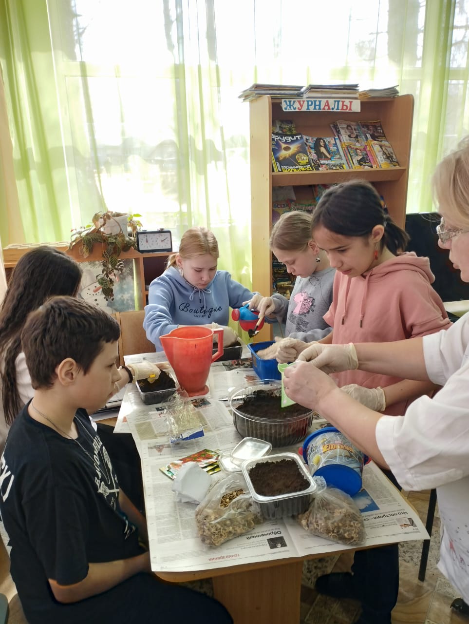  Сажаем на рассаду бархатцы