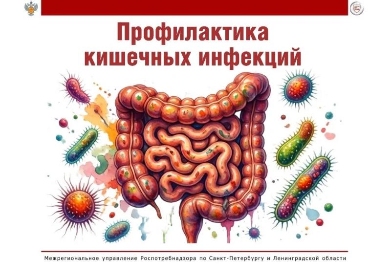 Кишечные инфекции активны круглый год