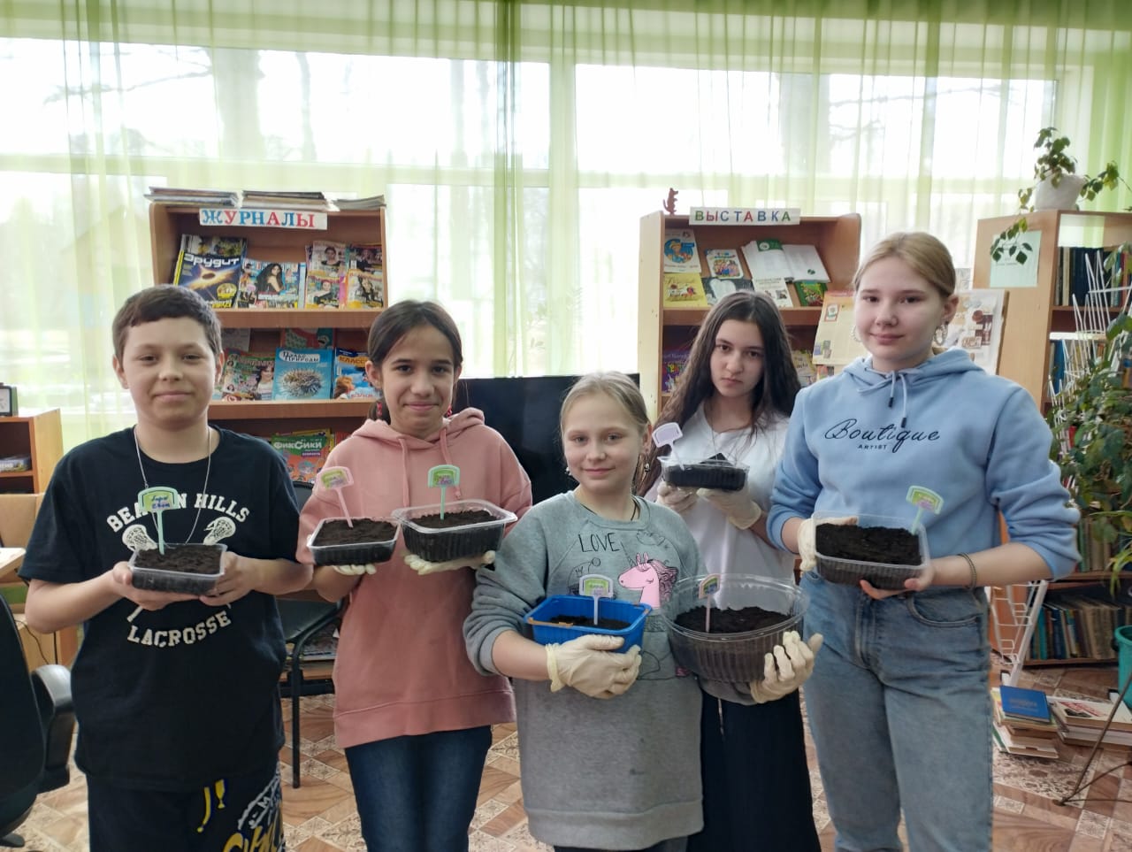  Сажаем на рассаду бархатцы