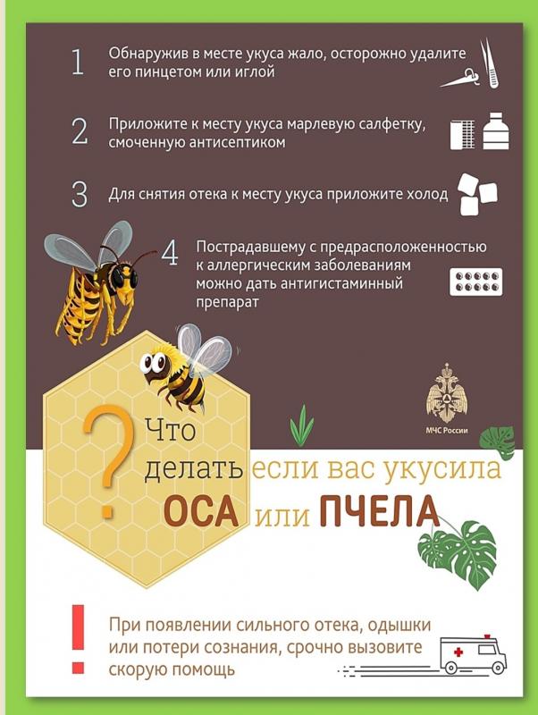 Профилактика укусов ос