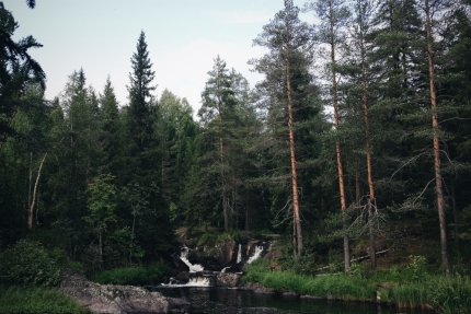 Памятка, отправляющимся в лес