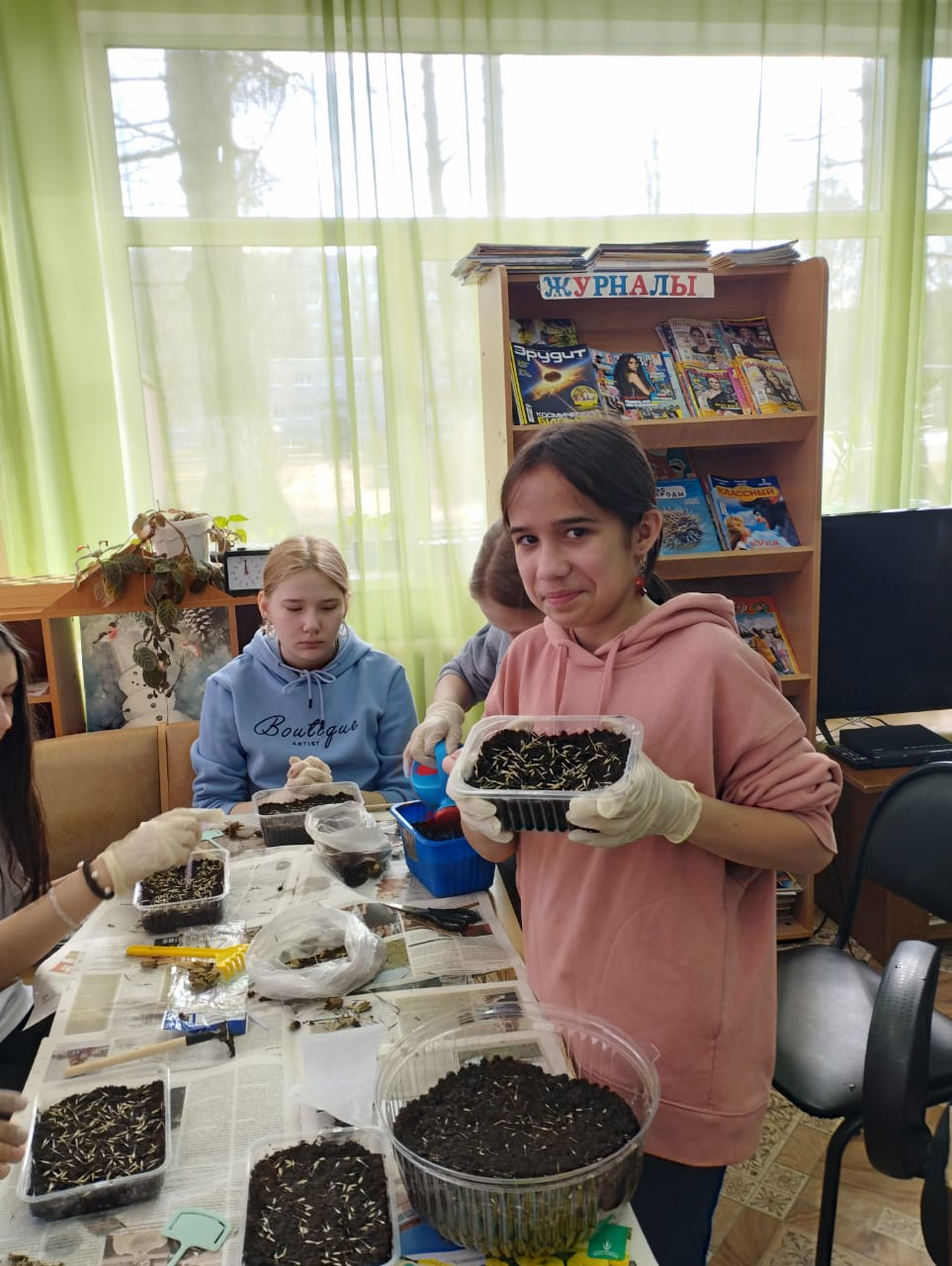  Сажаем на рассаду бархатцы