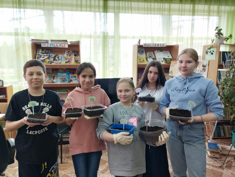  Сажаем на рассаду бархатцы