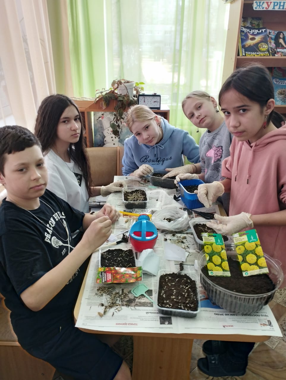  Сажаем на рассаду бархатцы