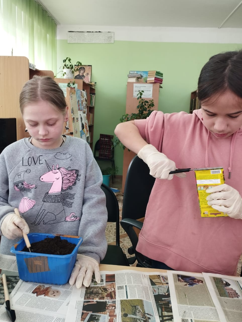  Сажаем на рассаду бархатцы