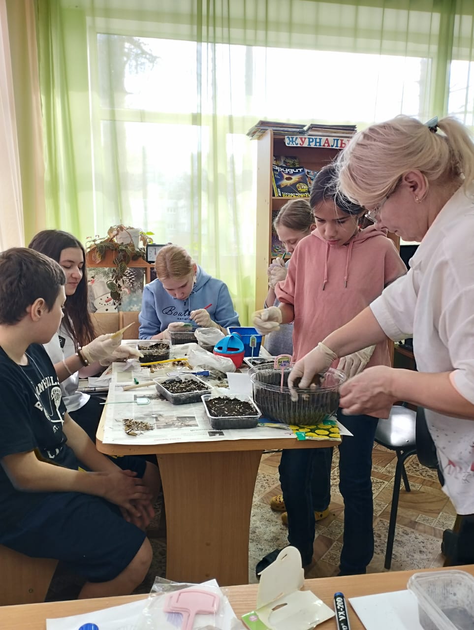  Сажаем на рассаду бархатцы
