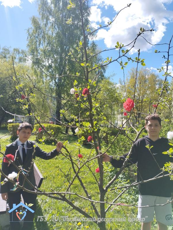   В Тихвинском ресурсном центре появилось Дерево памяти