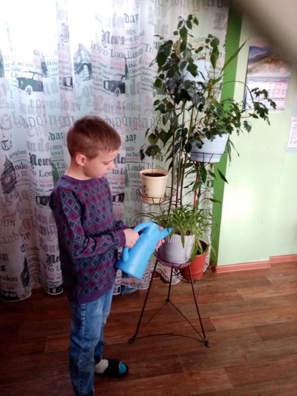 Уход за комнатными растениями