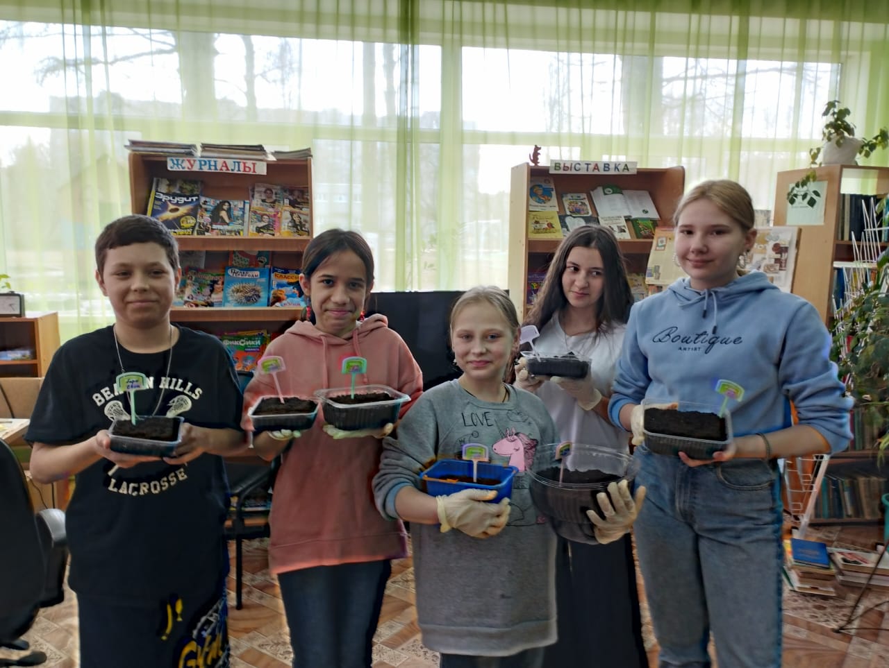  Сажаем на рассаду бархатцы