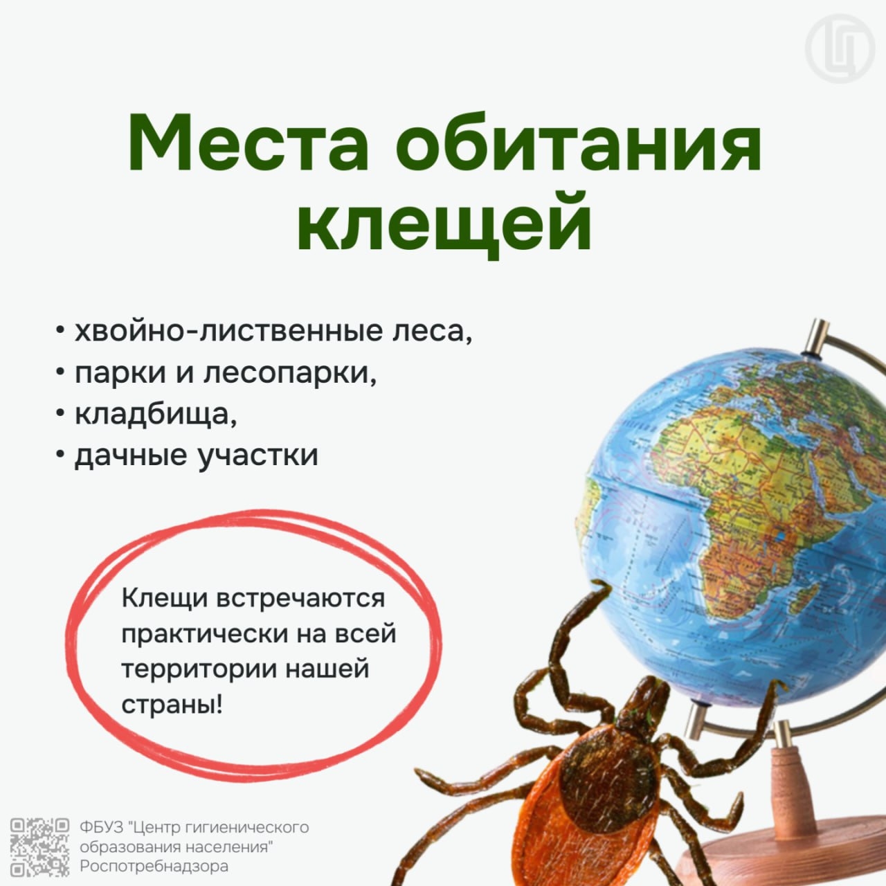 Роспотребнадзор предупреждает! Наступила весна... Просыпаются клещи!