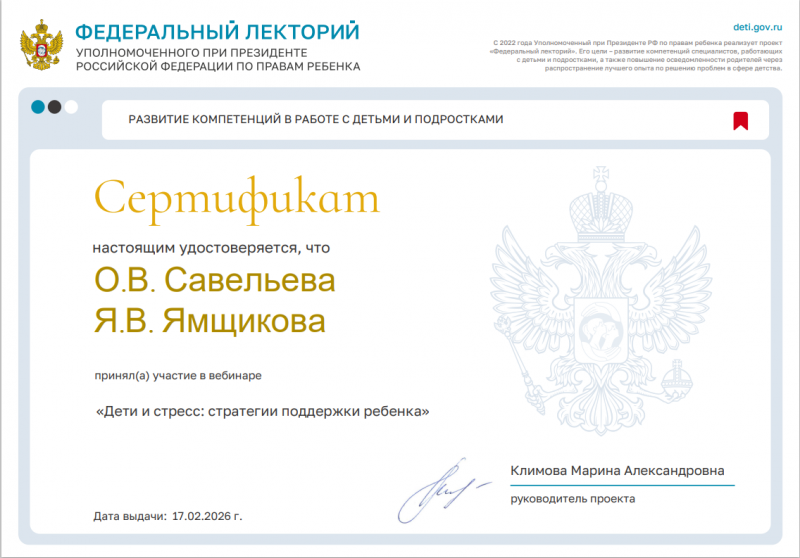 Педагоги Тихвинского ресурсного центра освоили стратегии поддержки детей в стрессе