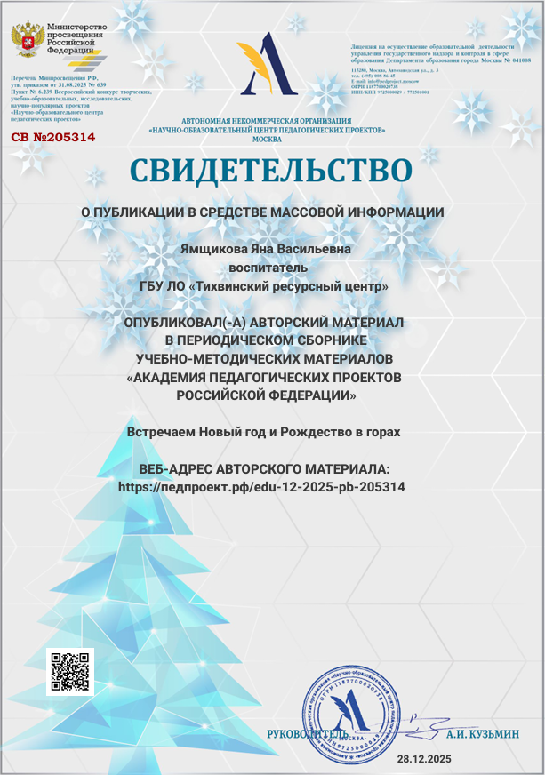 Публикация в СМИ. Новогодний творческий проект.