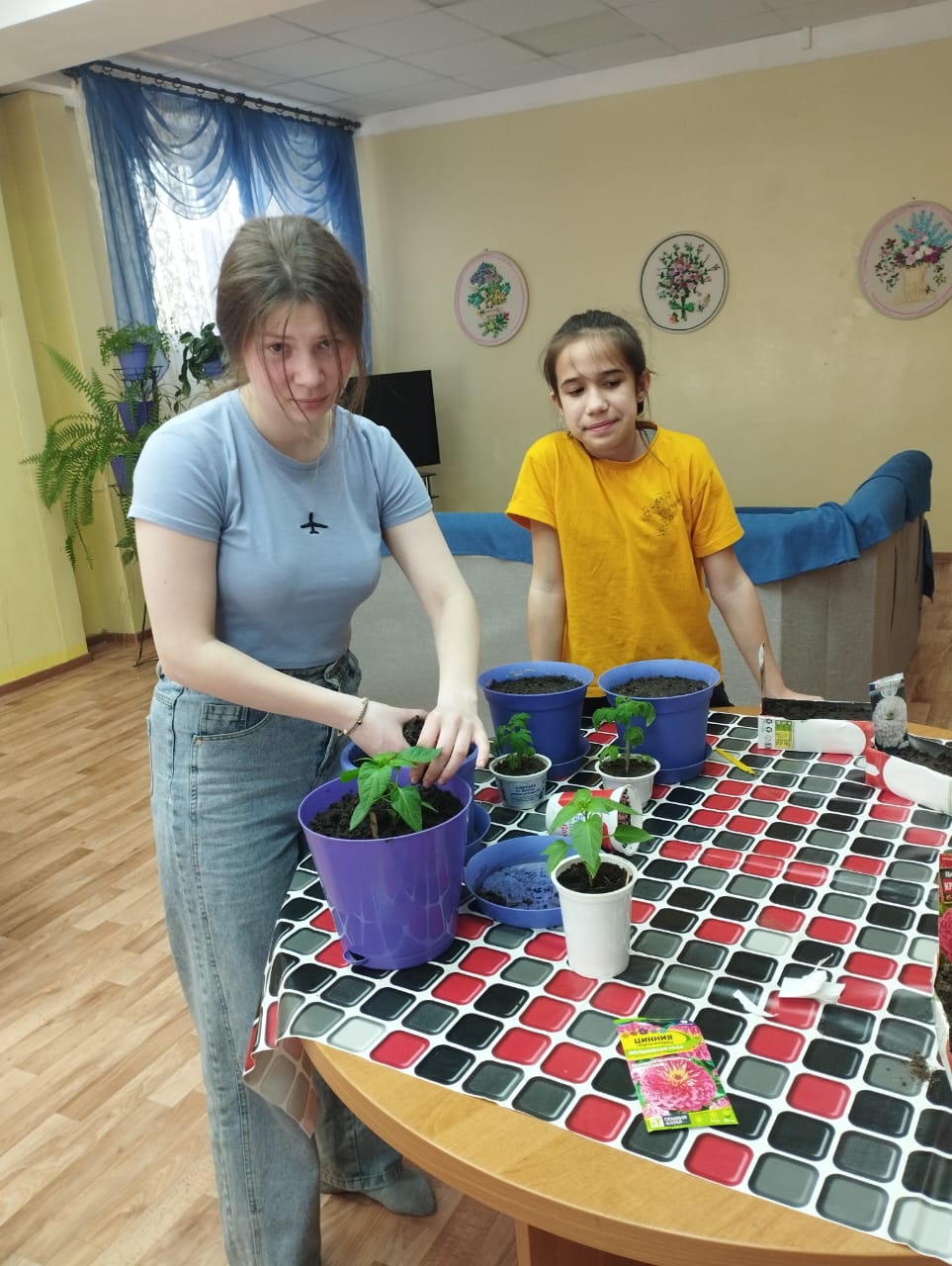 Домашний огород на подоконнике