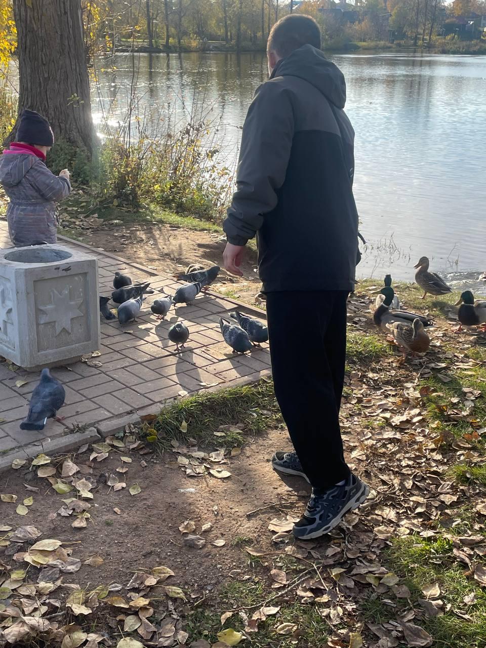 Прогулка в парке