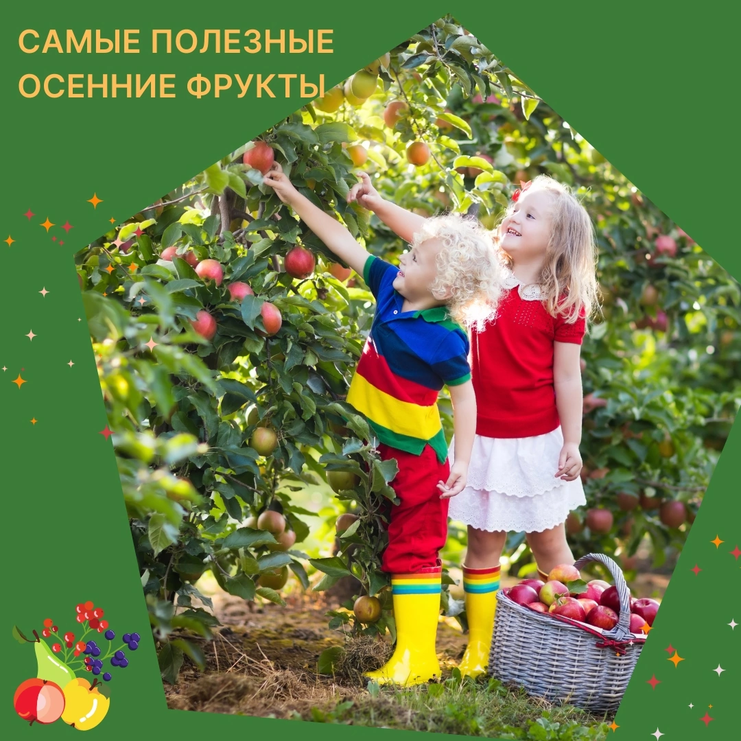 Самые полезные осенние фрукты