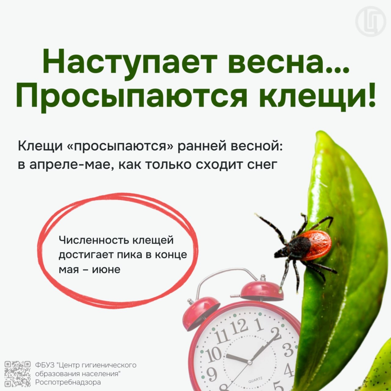 Роспотребнадзор предупреждает! Наступила весна... Просыпаются клещи!