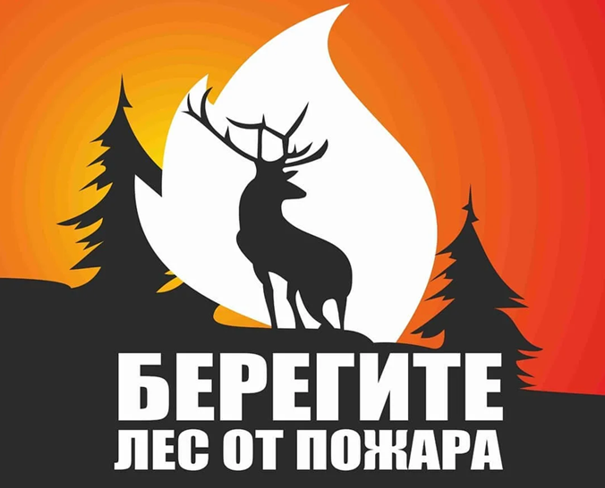 Берегите лес от пожара!