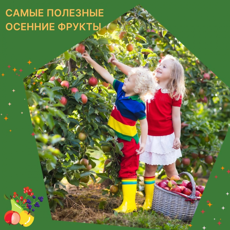 Самые полезные осенние фрукты