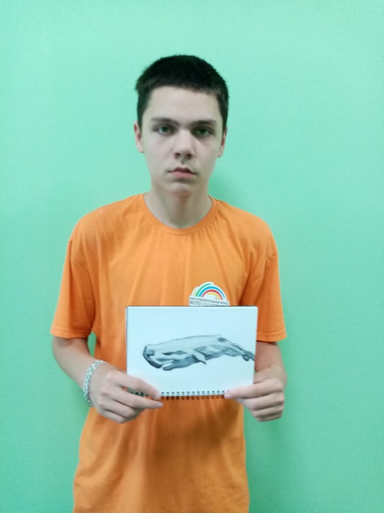 Творчество в защиту морских обитателей