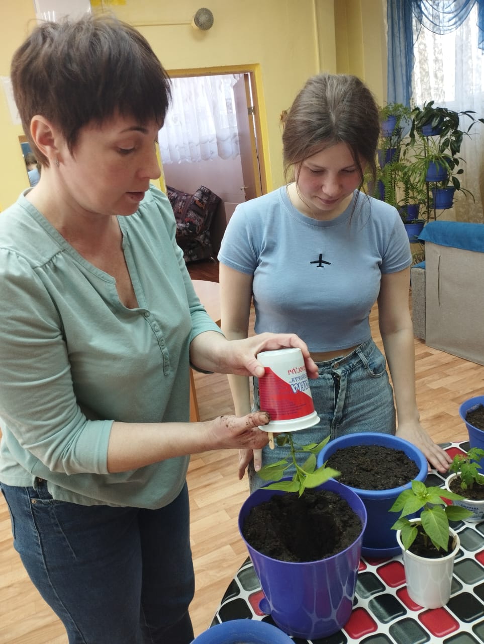 Домашний огород на подоконнике