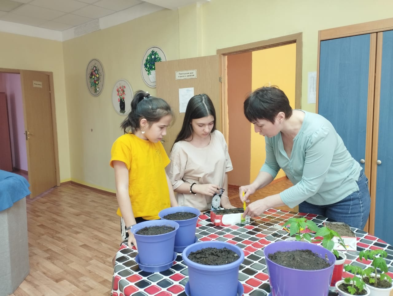 Домашний огород на подоконнике