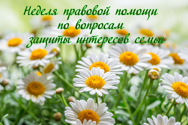 Неделя правовой помощи по вопросам  защиты   интересов семьи