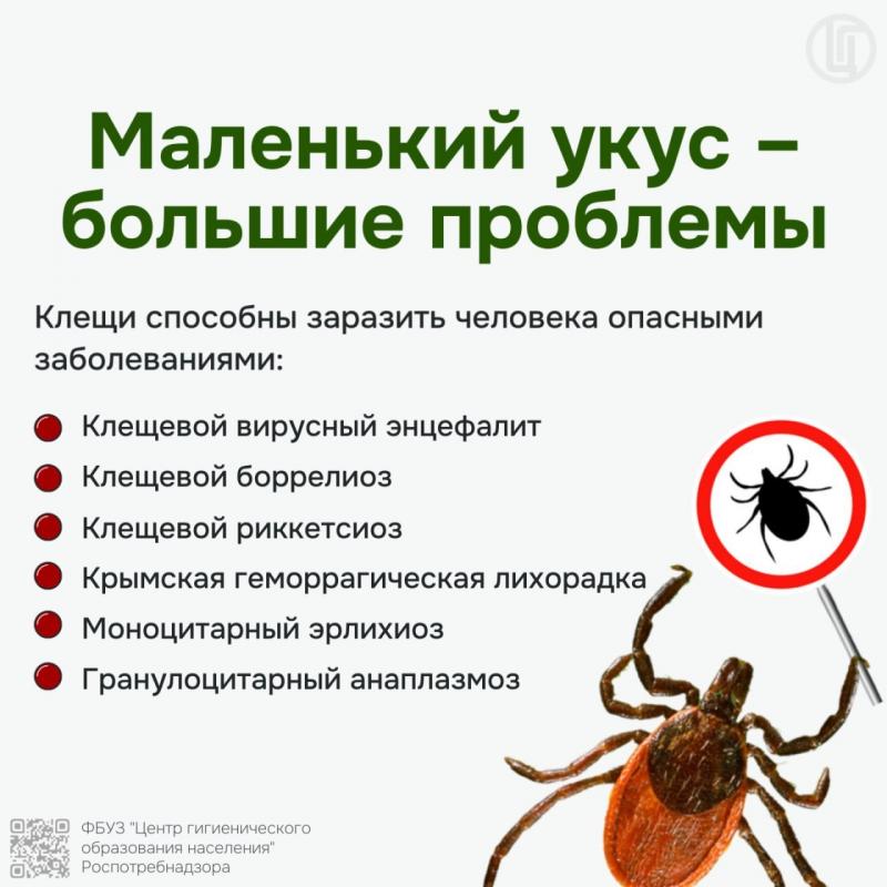 Роспотребнадзор предупреждает! Наступила весна... Просыпаются клещи!