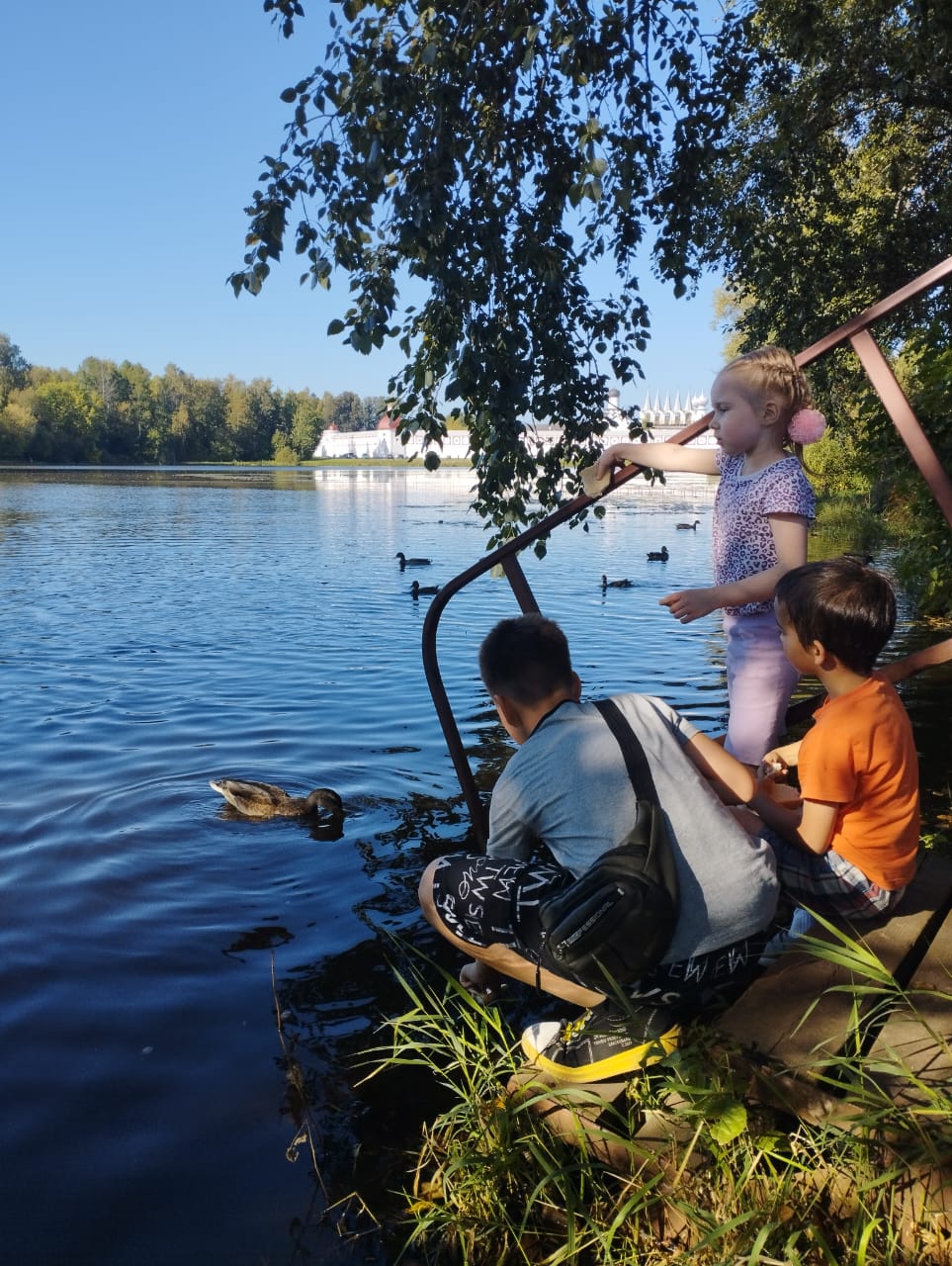 Прогулка по летнему саду