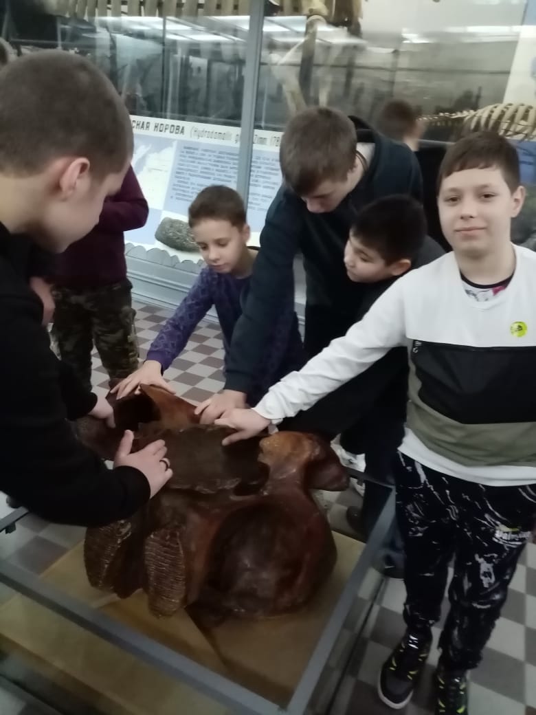 На экскурсии в Зоологическом музее