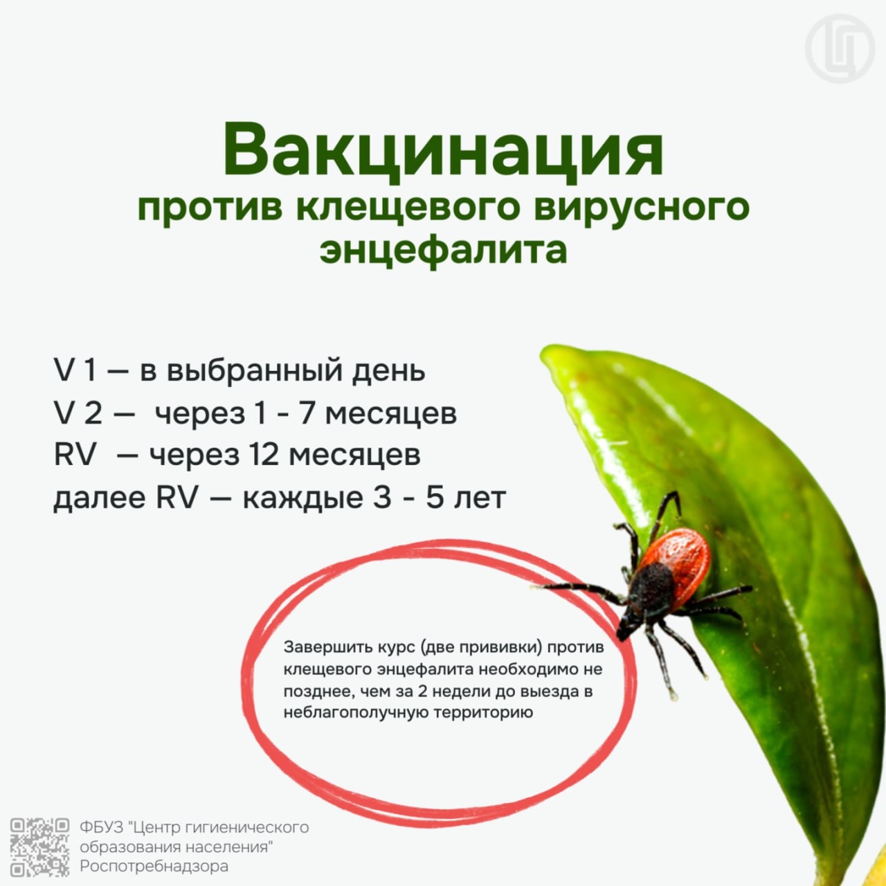 Роспотребнадзор предупреждает! Наступила весна... Просыпаются клещи!