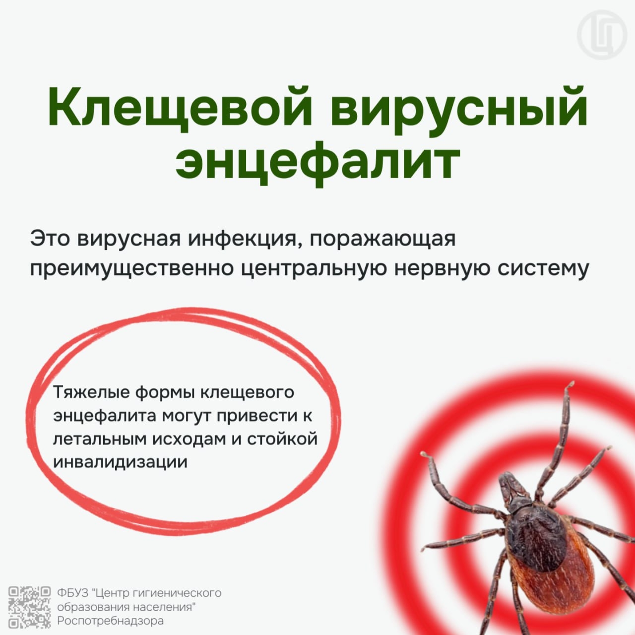Роспотребнадзор предупреждает! Наступила весна... Просыпаются клещи!