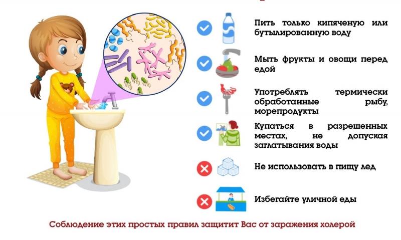  Что нужно знать о профилактике холеры?