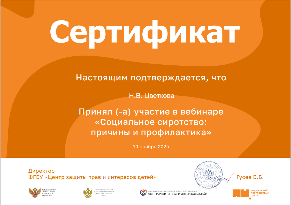 Всероссийский вебинар о социальном сиротстве: актуальные подходы и практики