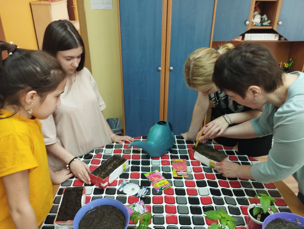 Домашний огород на подоконнике