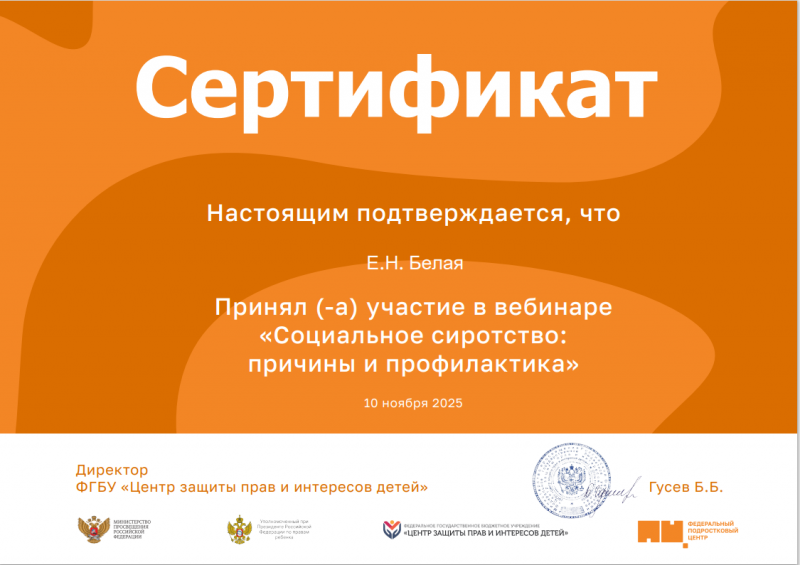 Всероссийский вебинар о социальном сиротстве: актуальные подходы и практики