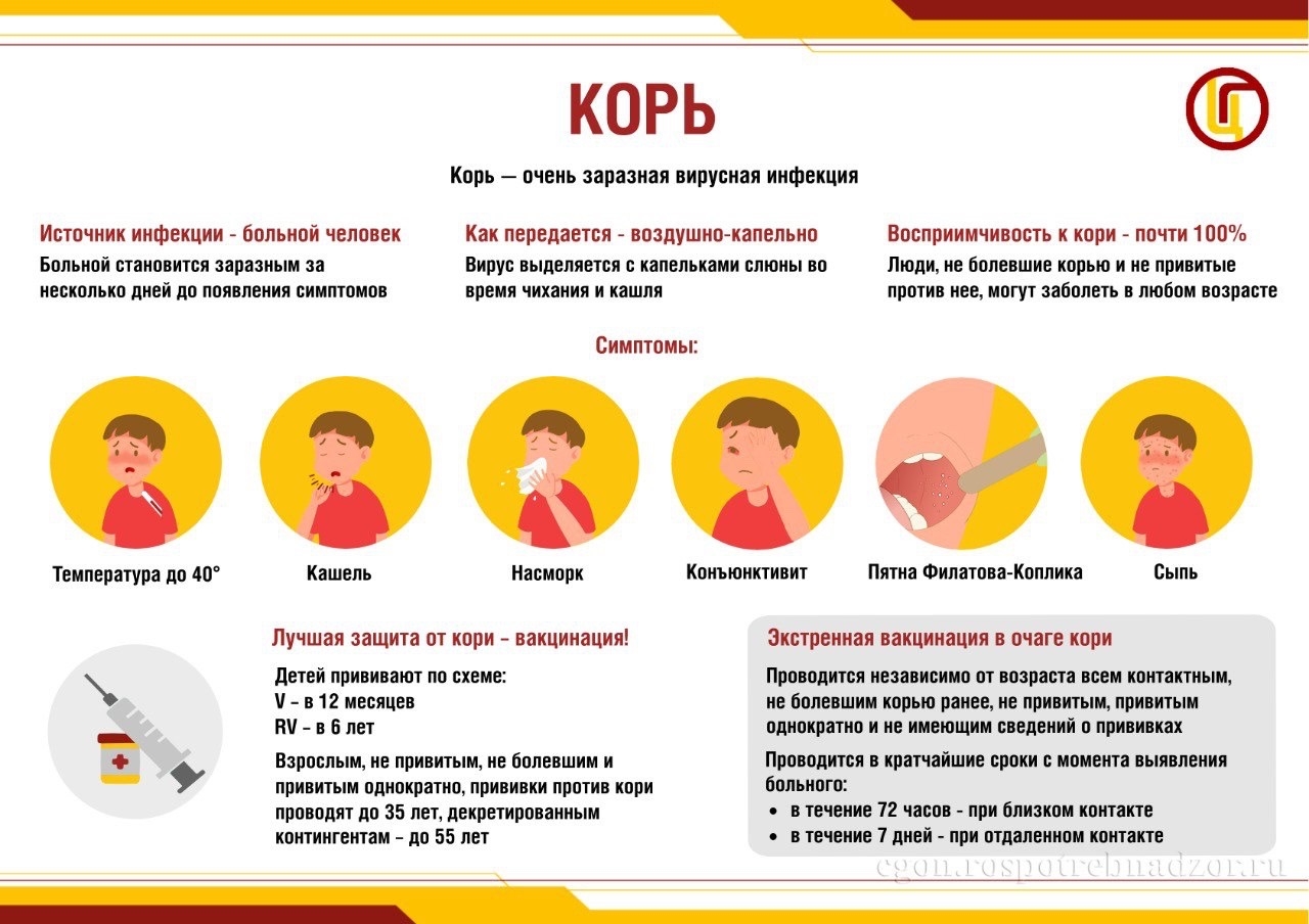 Корь. «НЕдетская» инфекция