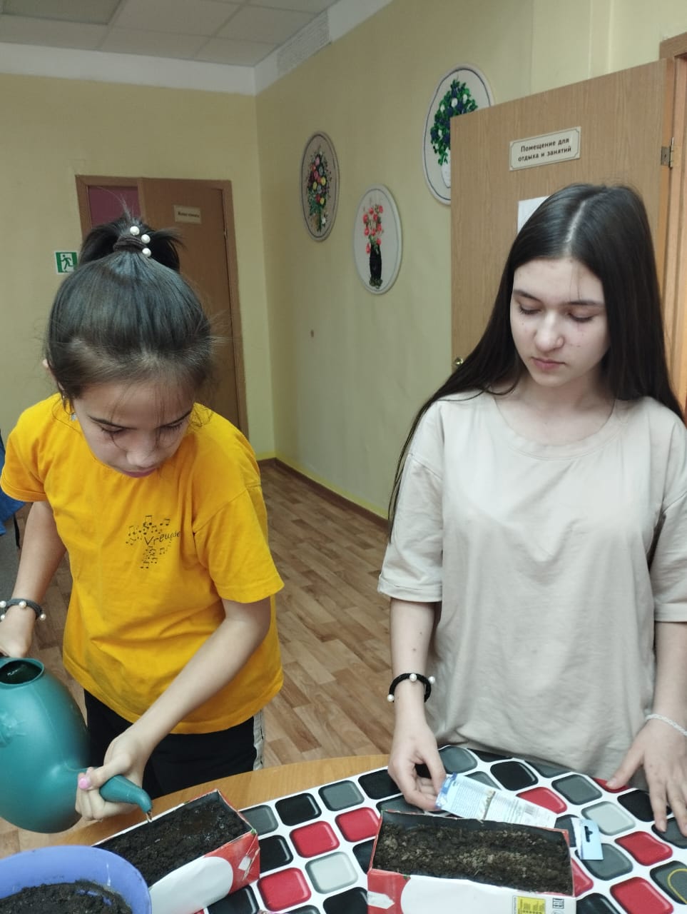 Домашний огород на подоконнике