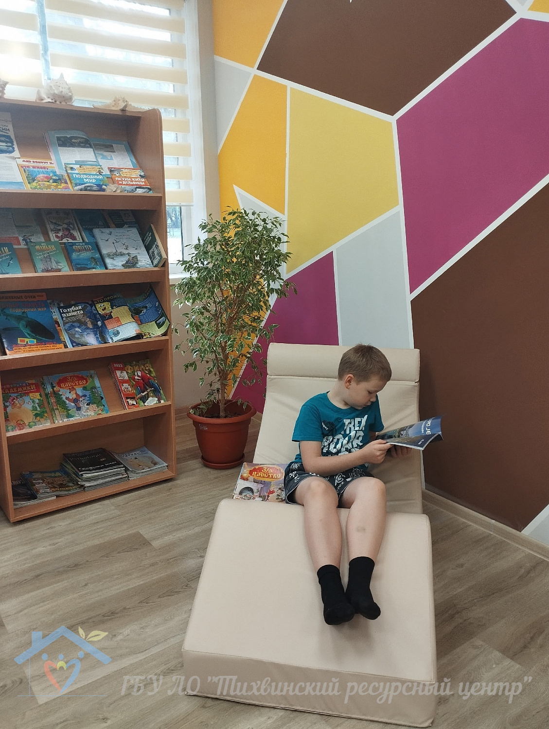 Всероссийский день чтения: праздник книги и благодарности