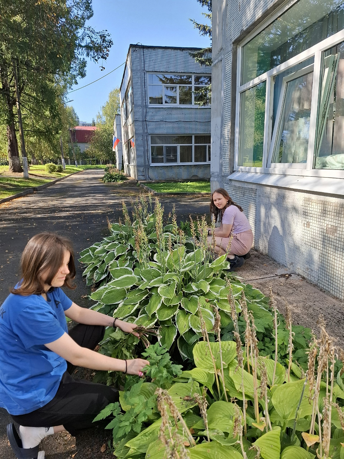 На приусадебном участке много работы