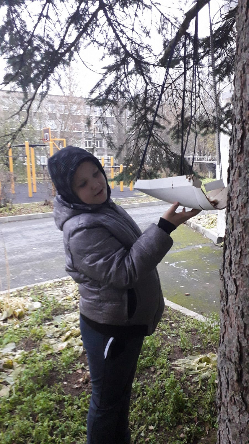 Синичкин день