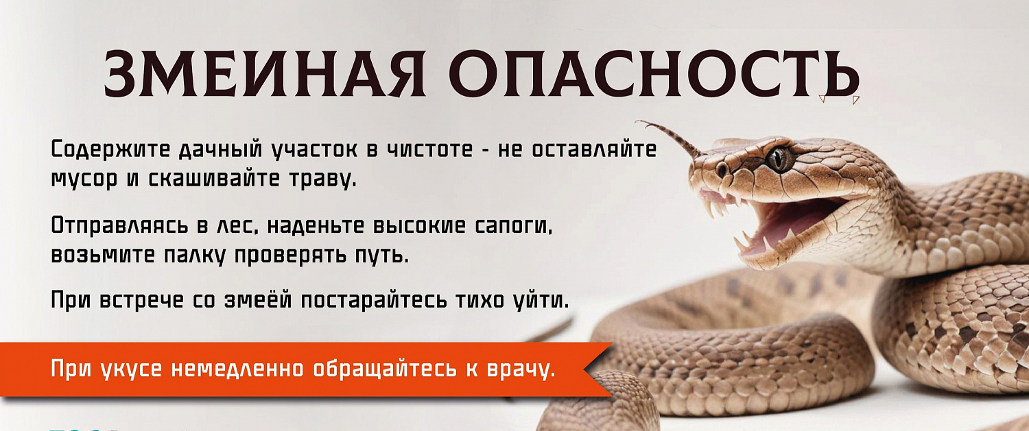 Осторожно, змеи!