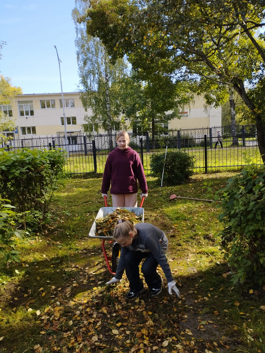 16.09.2023 г. воспитанники помогали убирали территорию ГБУ ЛО «Тихвинский ресурсный центр» от опавшей листвы