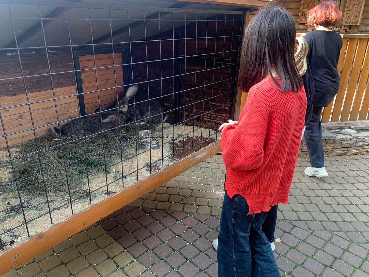 29.09.2023 г. состоялась экскурсия в мемориальный музей обороны и блокады Ленинграда и Ленинградский зоопарк
