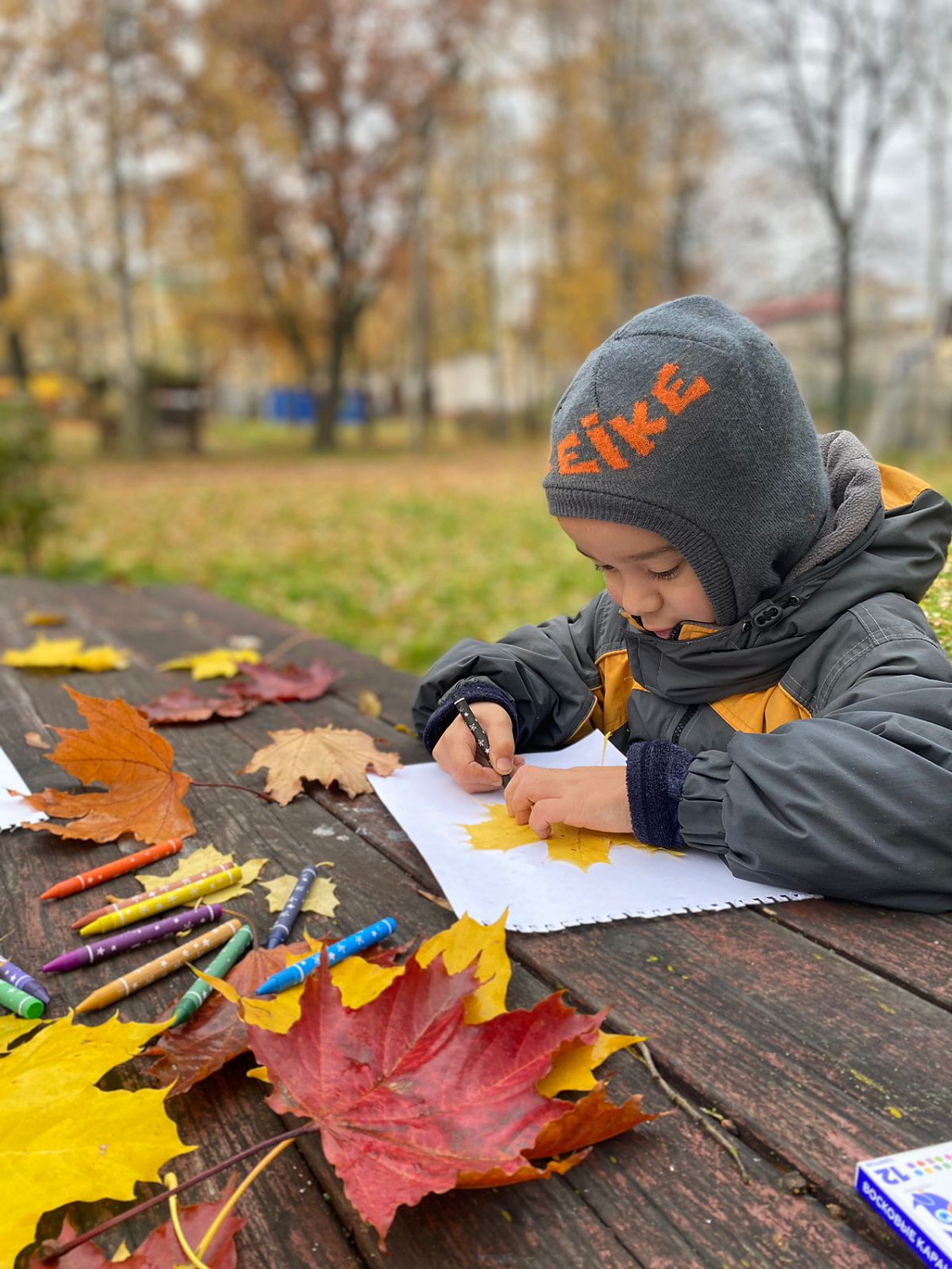 Пленэр «Краски осени»