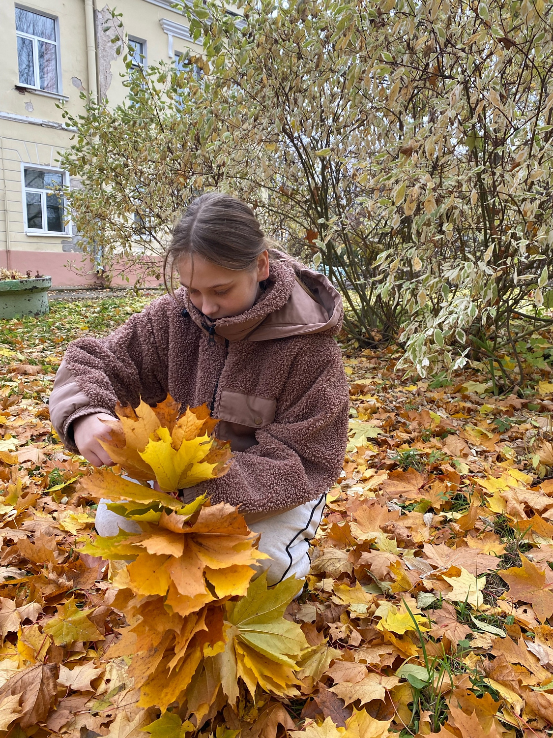 Осенние красавицы