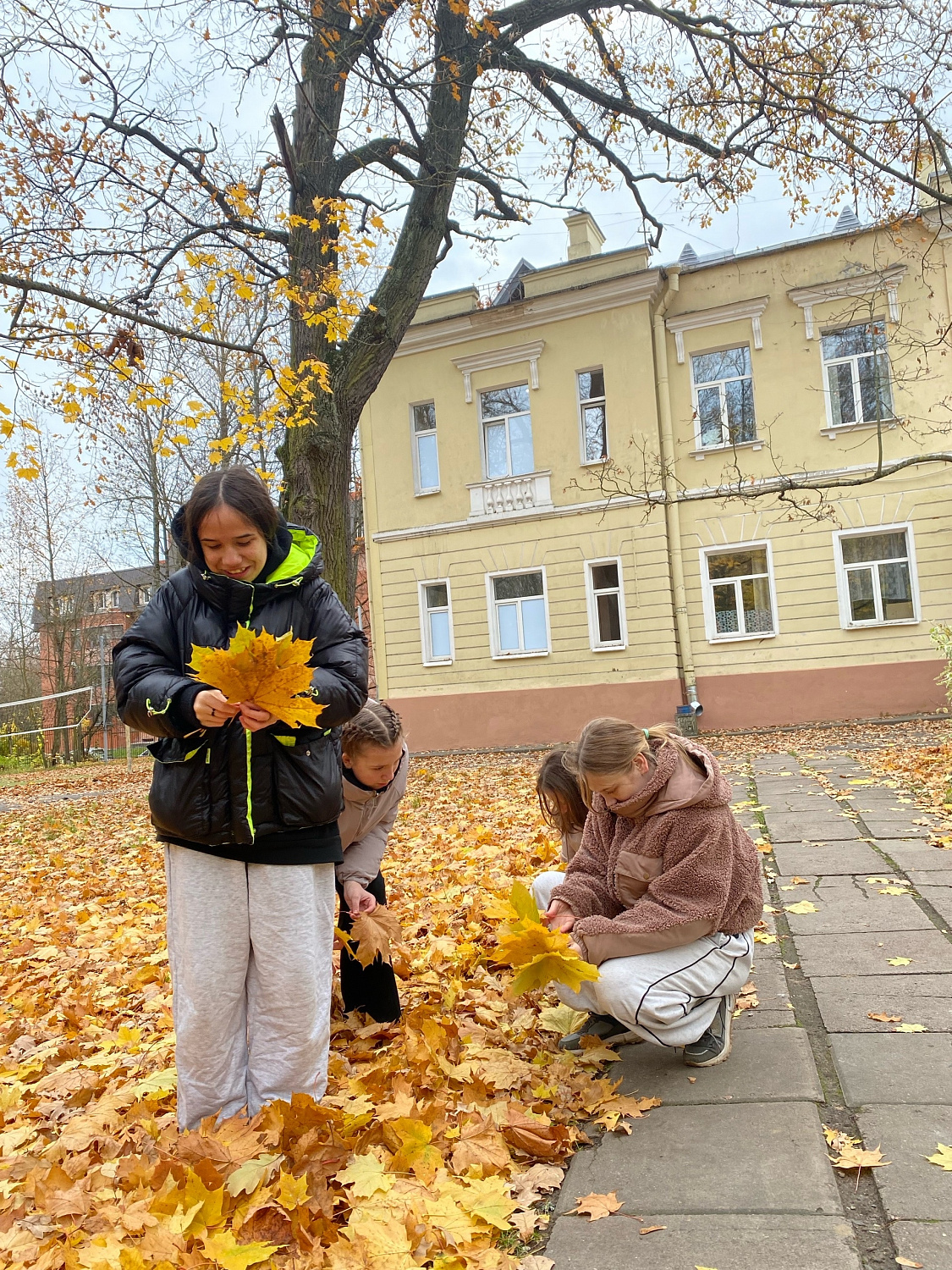 Осенние красавицы