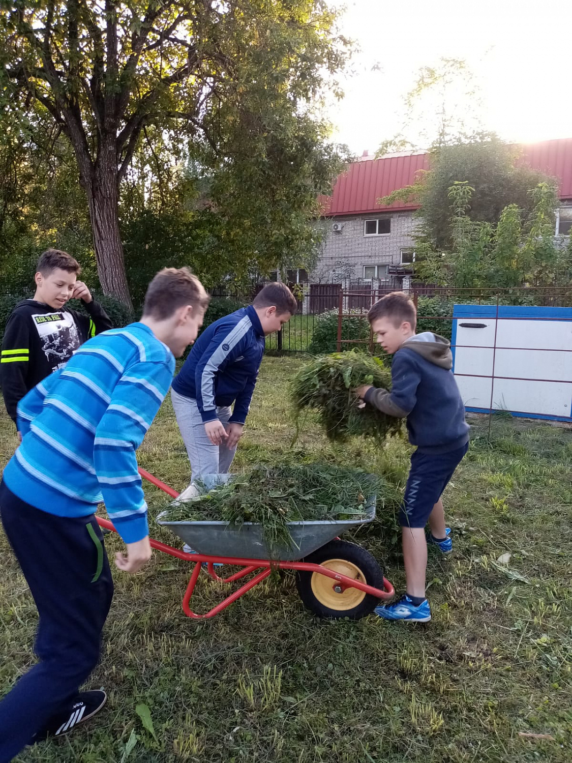 16.09.2023 г. воспитанники помогали убирали территорию ГБУ ЛО «Тихвинский ресурсный центр» от опавшей листвы