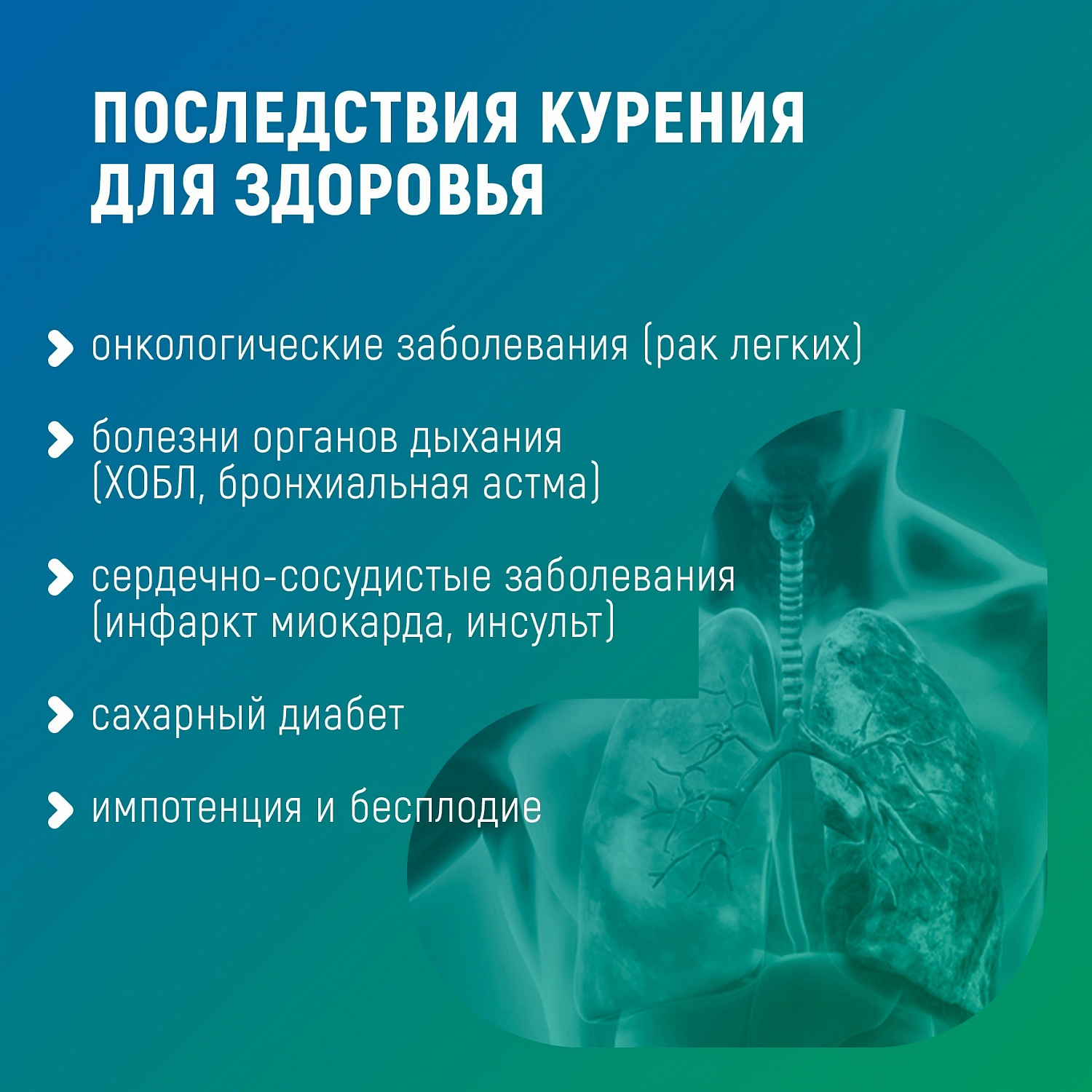 Осторожно, опасность!