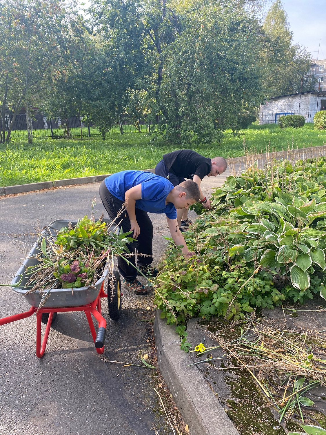 Трудовой осенний десант 