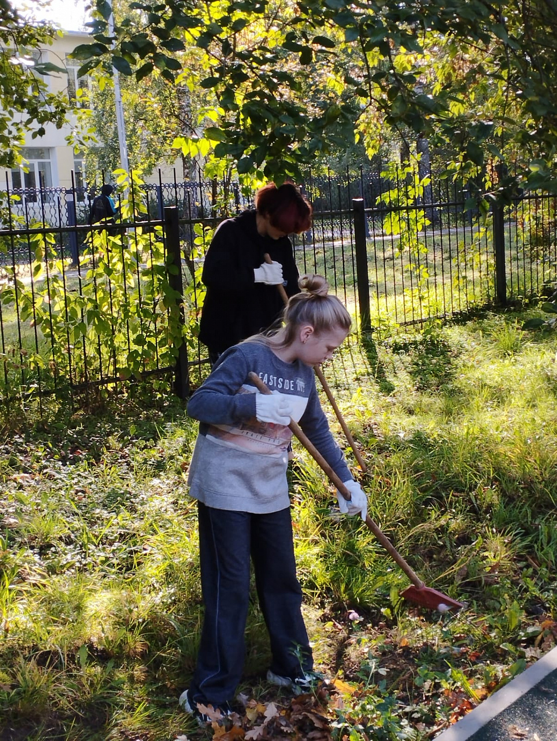 16.09.2023 г. воспитанники помогали убирали территорию ГБУ ЛО «Тихвинский ресурсный центр» от опавшей листвы